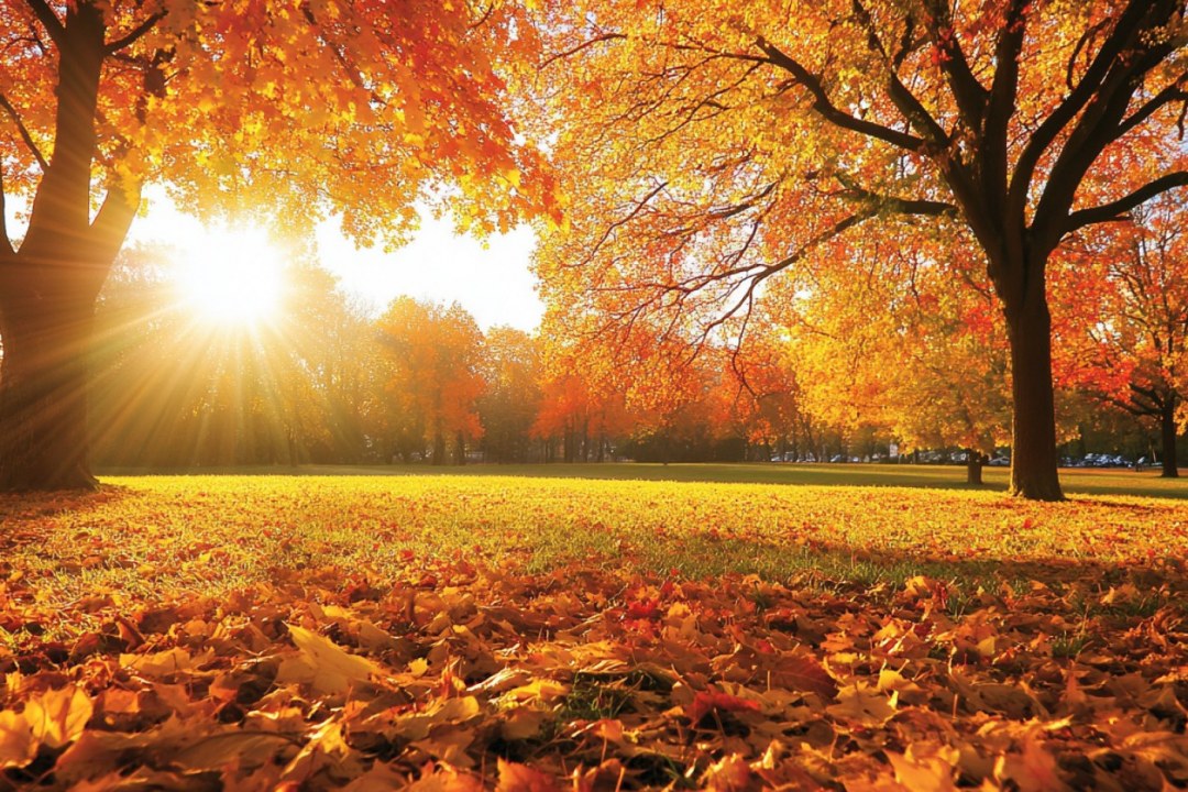 Autumn Sunset Horizon