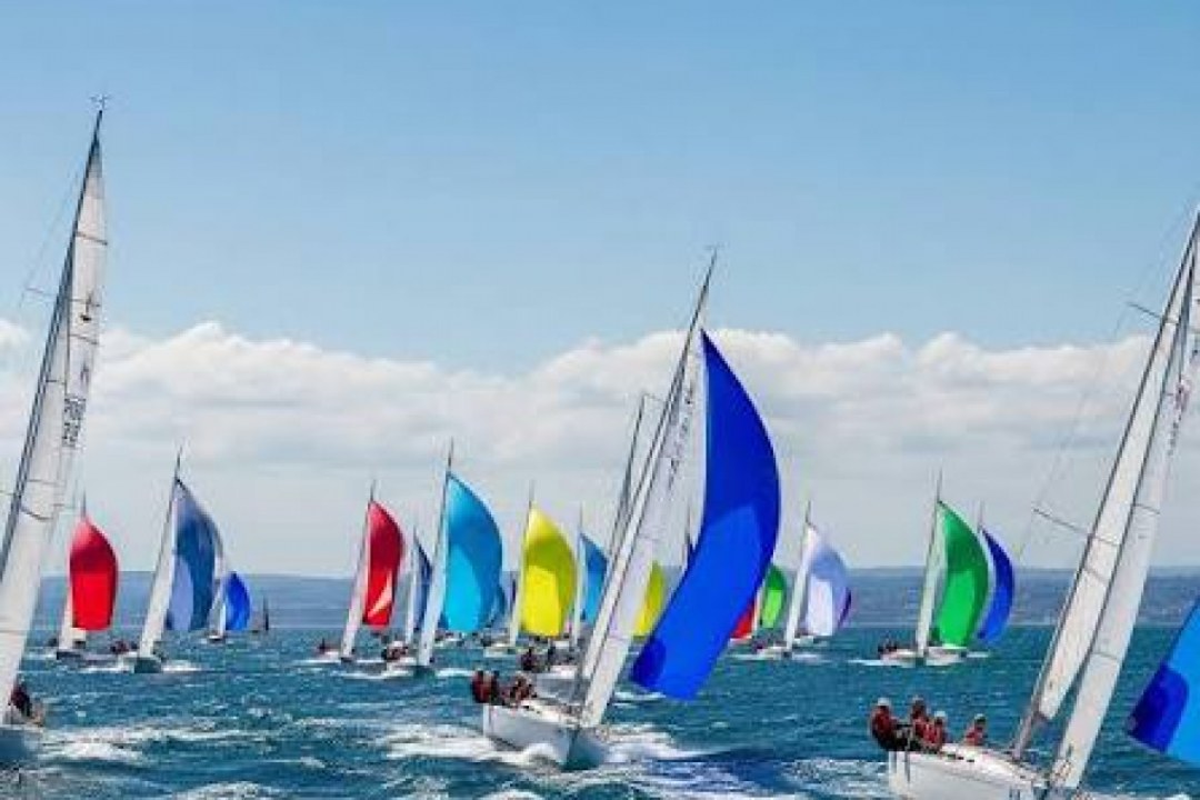 Ocean Regatta Spinnaker Bloom