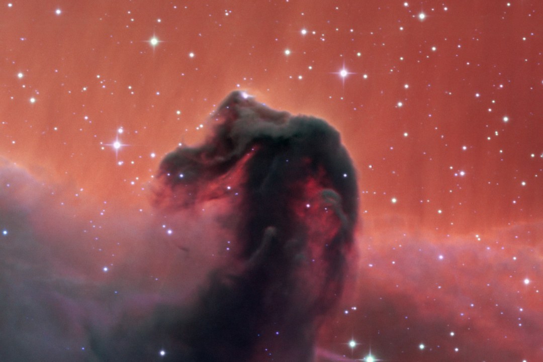 Horsehead Nebula Dust