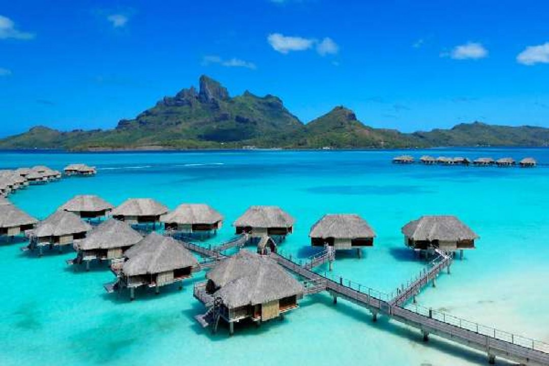 Tropical Paradises