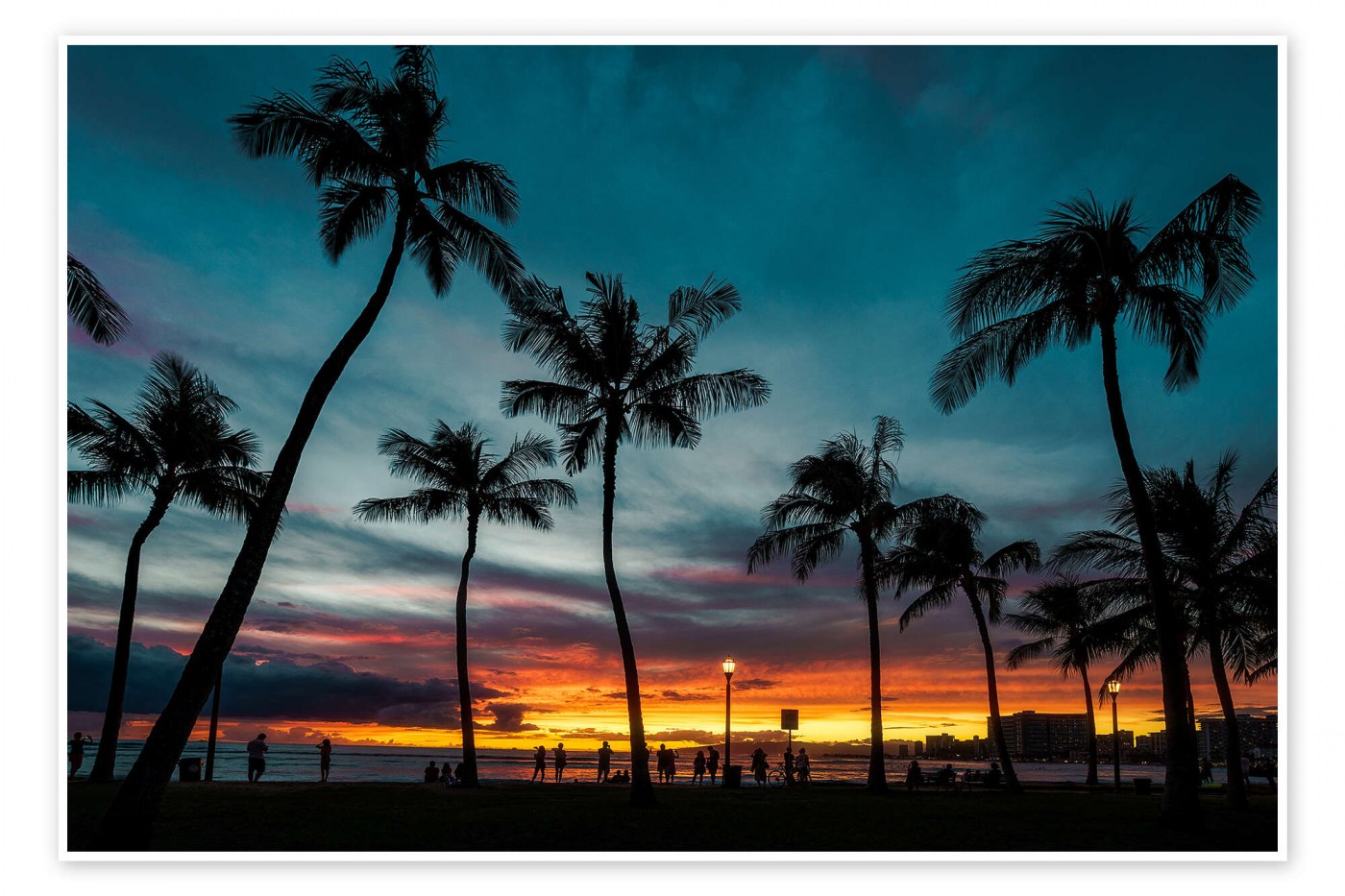 Hawaiian Palm Sunset Silhouette