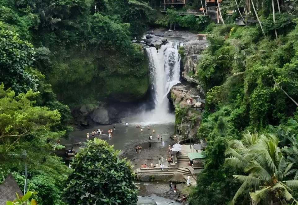 Bali Waterfall Jungle Oasis